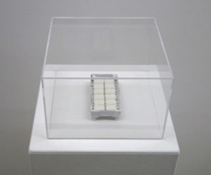 sweet dreams 2020 karton/würfelzucker/plexiglas 13 x 6 x 2.5 cm